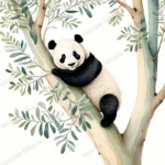 0154-panda-pasztel-illusztracio