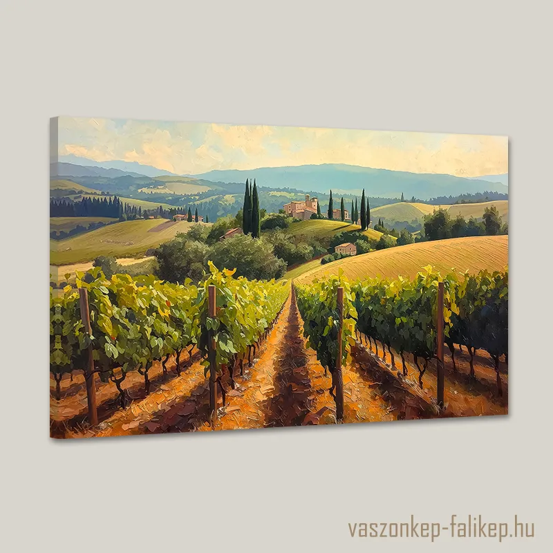 0287-toscana-szolloi-1 Egy festői tájkép, amely egy toszkán szőlőültetvényt ábrázol dombokkal és egy távoli vidéki birtokkal.