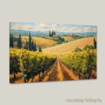 0288-toscana-szolloi-2